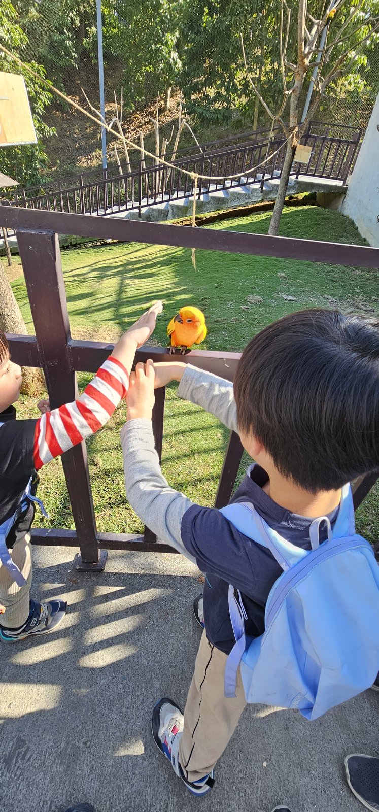 南投霧峰 九九峰動物樂園：名副其實的動物樂園/ 近距離觀賞鳥