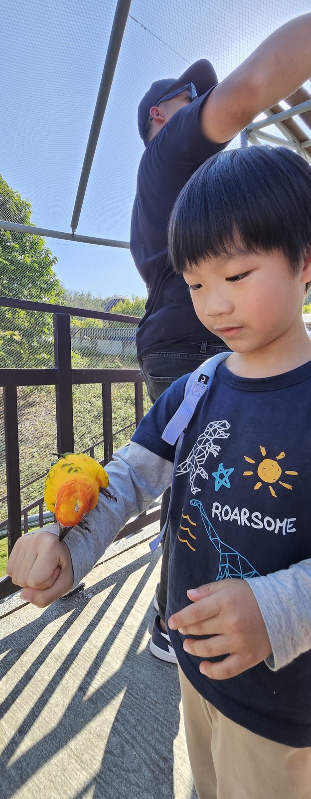 南投霧峰 九九峰動物樂園：名副其實的動物樂園/ 近距離觀賞鳥