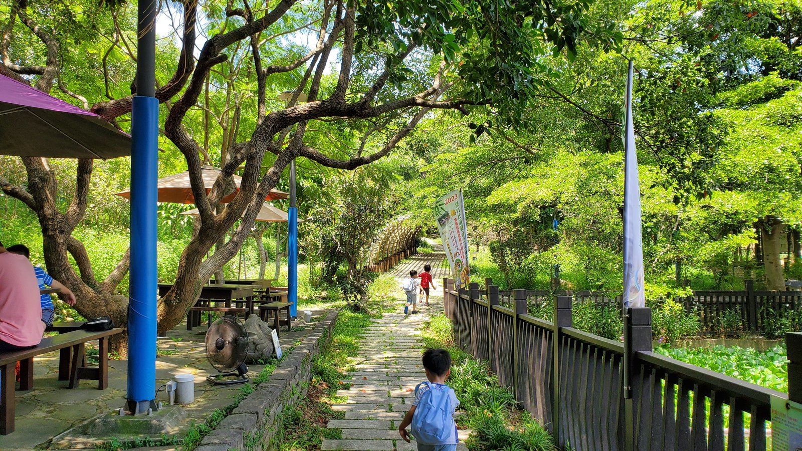 新北五股 旗竿湖農場：綠竹筍/ 獨角仙/ 季節限定的生態與美