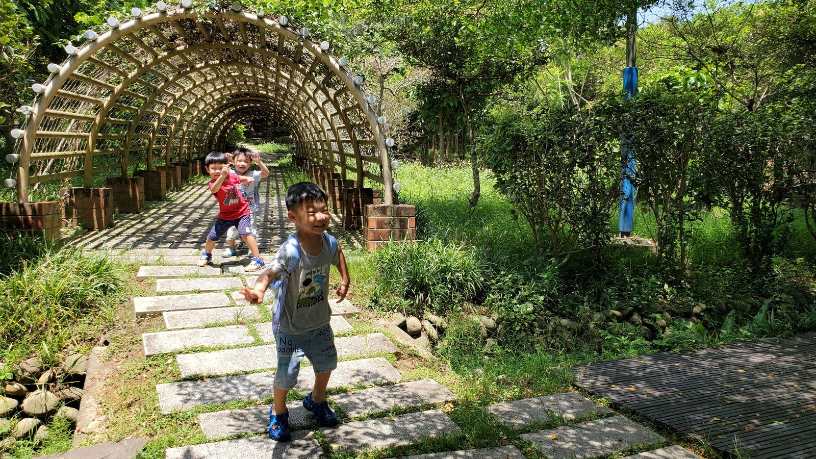 新北五股 旗竿湖農場：綠竹筍/ 獨角仙/ 季節限定的生態與美