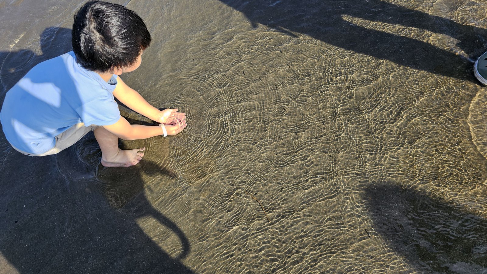 桃園新屋 玩水一日遊：永安海濱沙灘/ 3號咖啡/ 綠色隧道