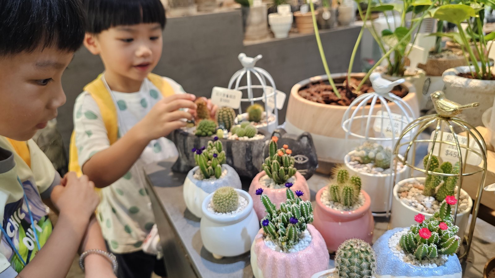台中 審計新村：大人小孩一起逛的文青市集/ 4間知名美食店家