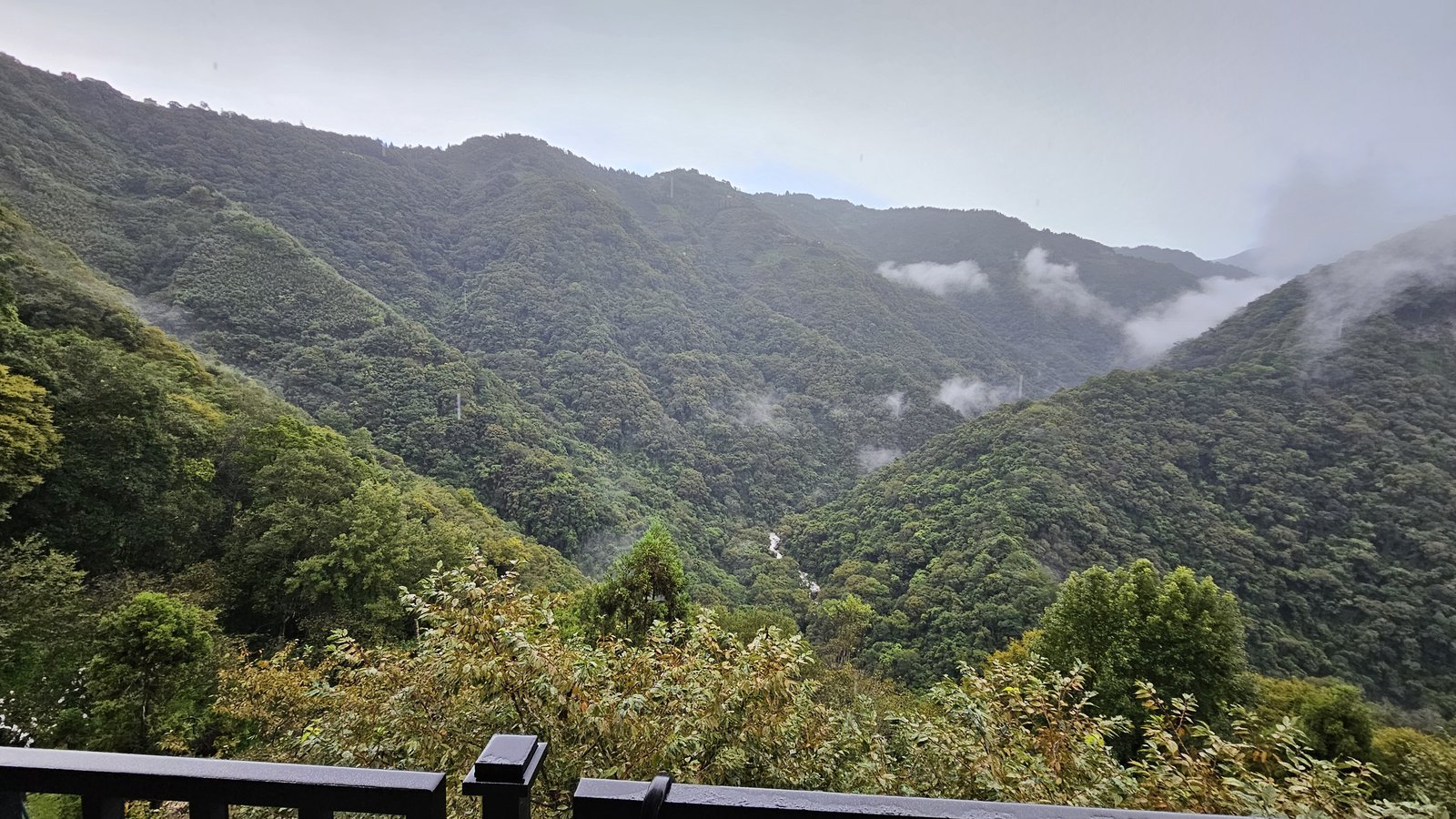 拉拉山 谷典咖啡民宿：神木與水蜜桃的故鄉／欣賞山嵐美景