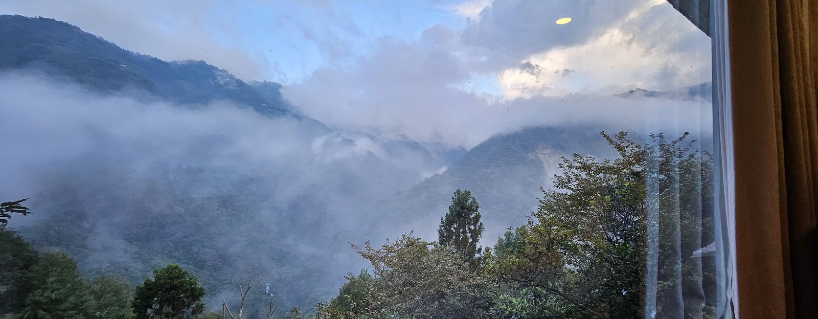 拉拉山 谷典咖啡民宿：神木與水蜜桃的故鄉／欣賞山嵐美景