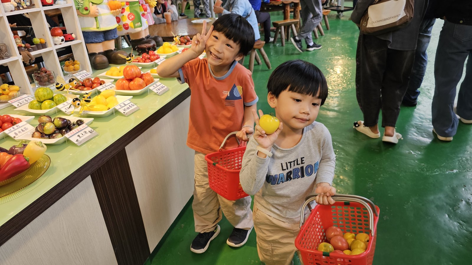 新竹 金勇蕃茄農場：在地老字號蕃茄農場/ 親子採果樂/ 園區