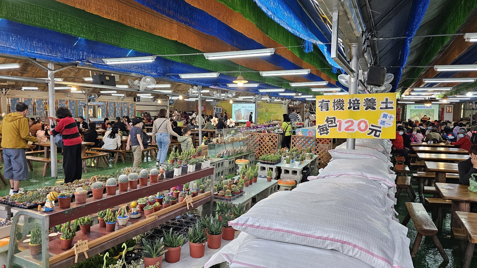 新竹 金勇蕃茄農場：在地老字號蕃茄農場/ 親子採果樂/ 園區