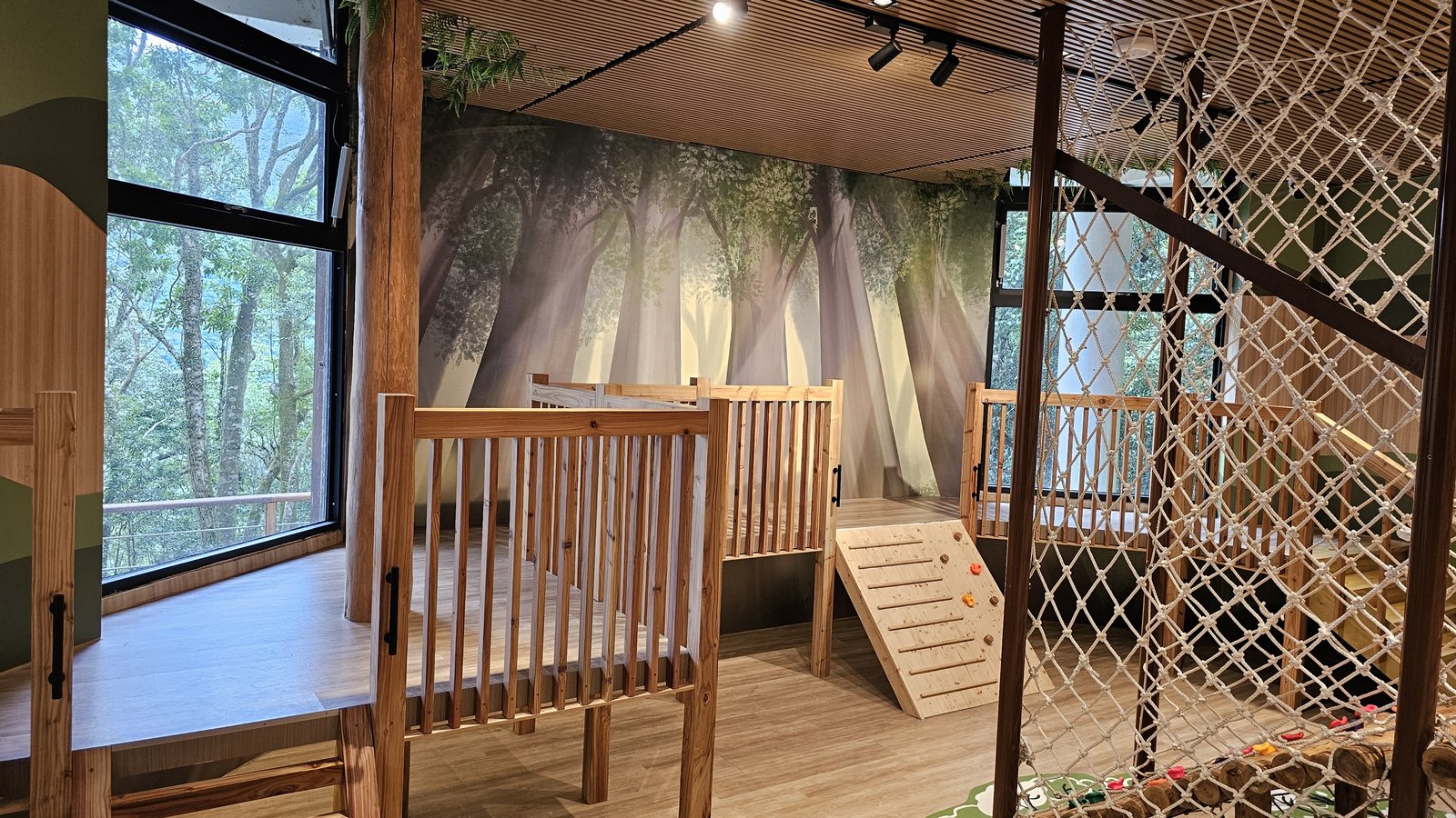 拉拉山 國家森林遊樂區：帶6歲以下小孩們一起找尋神木