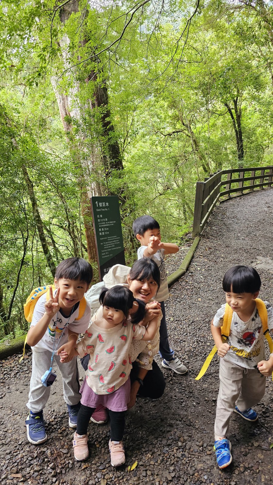 拉拉山 國家森林遊樂區：帶6歲以下小孩們一起找尋神木