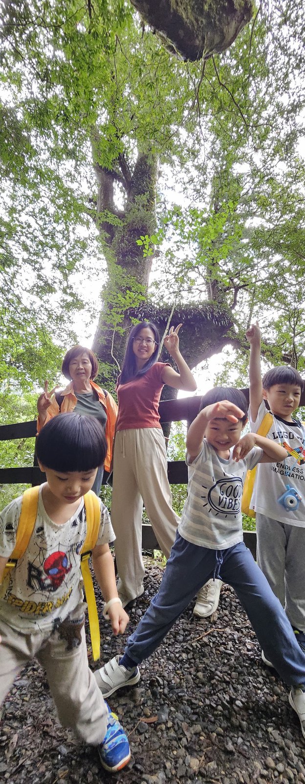 拉拉山 國家森林遊樂區：帶6歲以下小孩們一起找尋神木