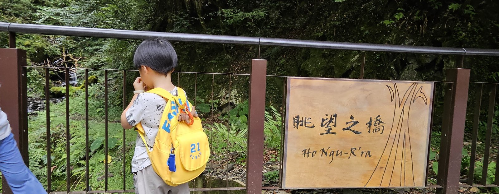 拉拉山 國家森林遊樂區：帶6歲以下小孩們一起找尋神木