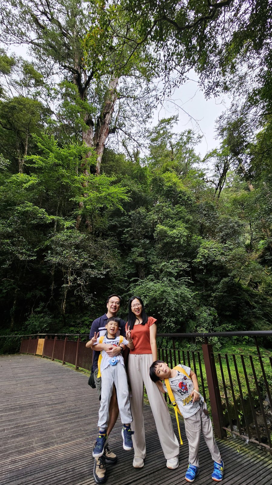 拉拉山 國家森林遊樂區：帶6歲以下小孩們一起找尋神木
