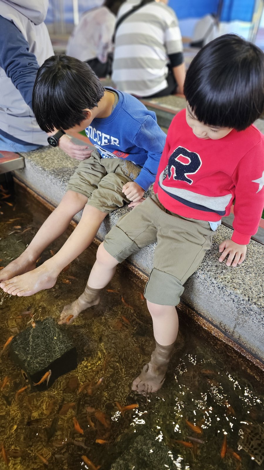 宜蘭 礁溪２小景點：湯圍溝重口味溫泉魚/ 大人牛乳