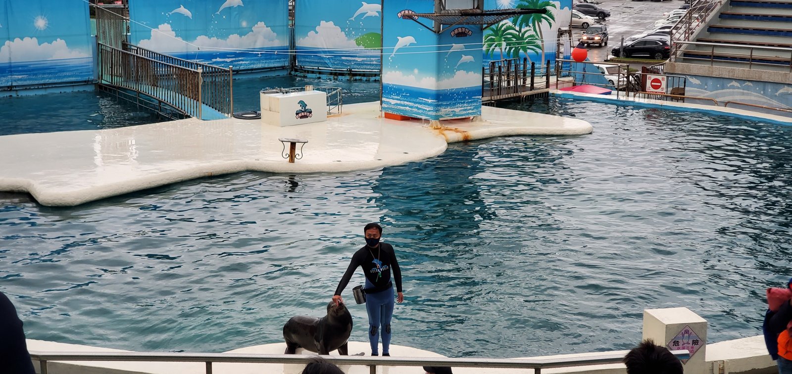 新北 野柳海洋世界：寓教於樂的海獅海豚show/ 望海亭活海