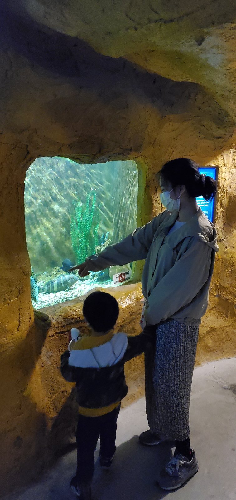 新北 野柳海洋世界：寓教於樂的海獅海豚show/ 望海亭活海