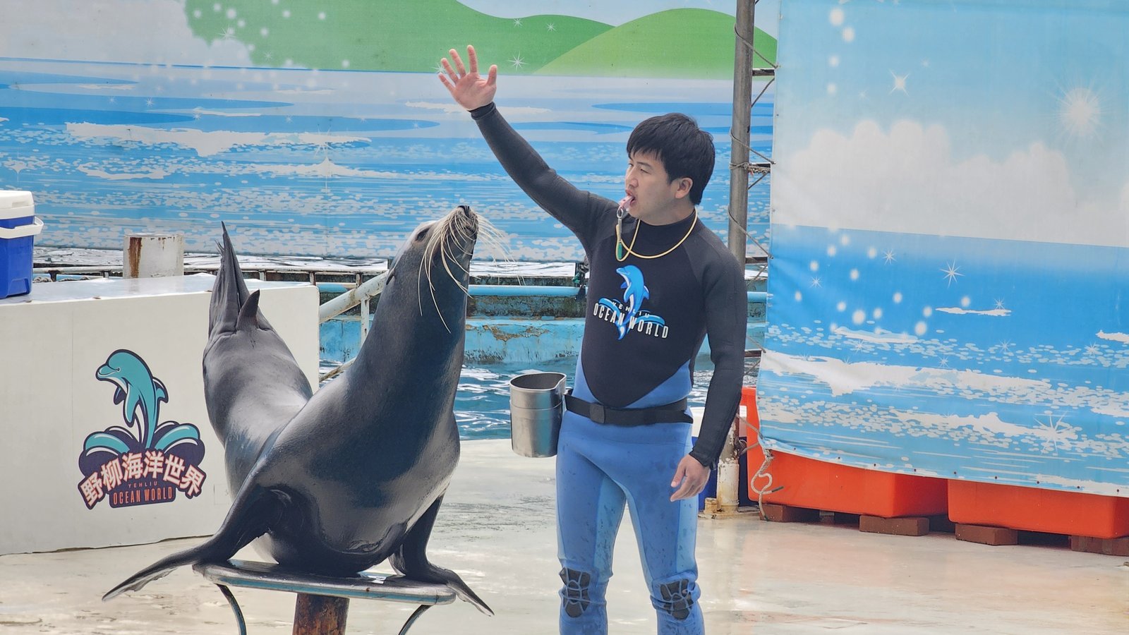 新北 野柳海洋世界：寓教於樂的海獅海豚show/ 望海亭活海