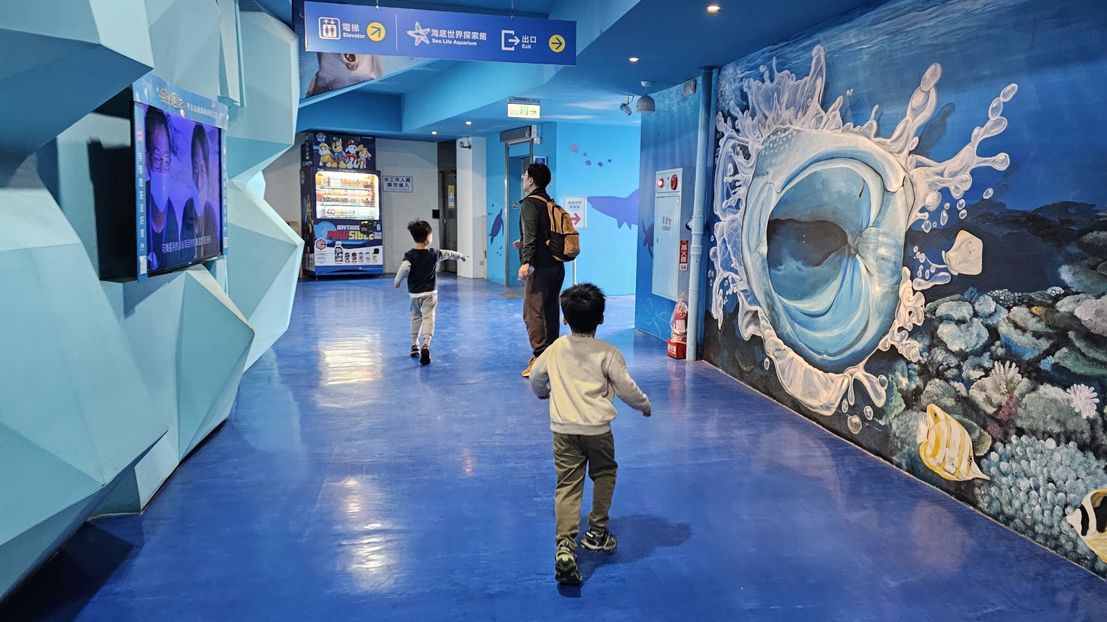 新北 野柳海洋世界：寓教於樂的海獅海豚show/ 望海亭活海