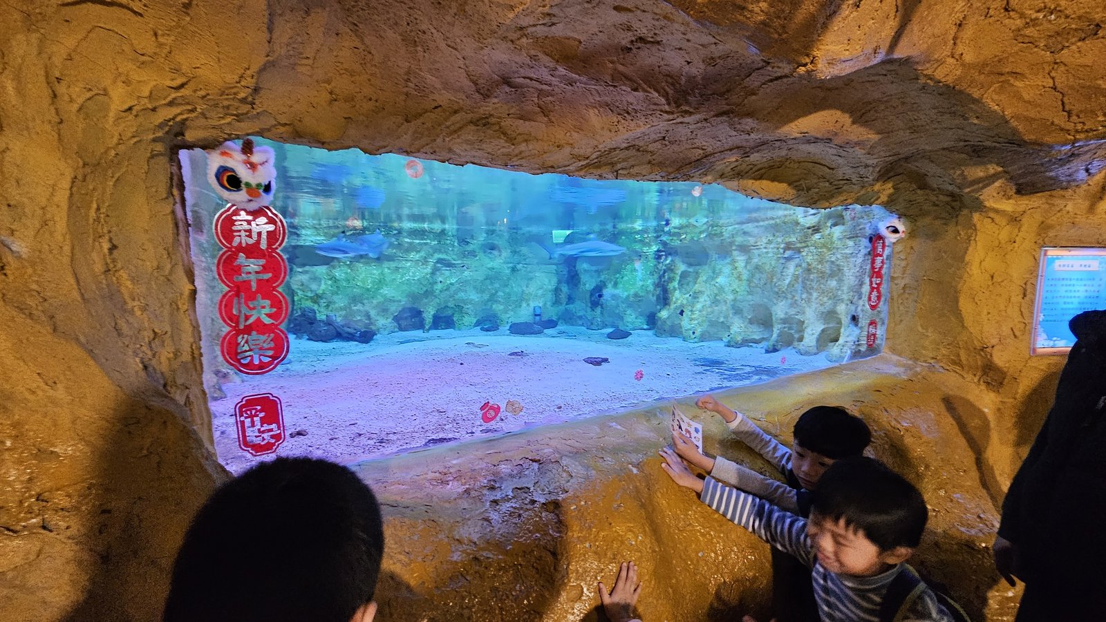 新北 野柳海洋世界：寓教於樂的海獅海豚show/ 望海亭活海
