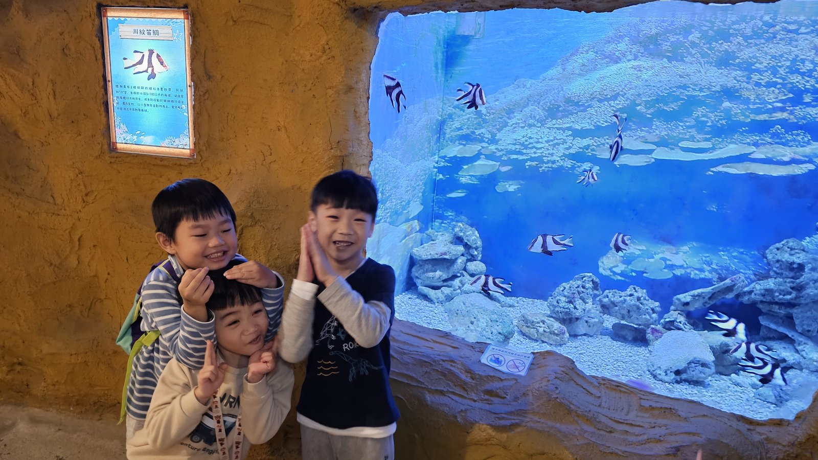 新北 野柳海洋世界：寓教於樂的海獅海豚show/ 望海亭活海