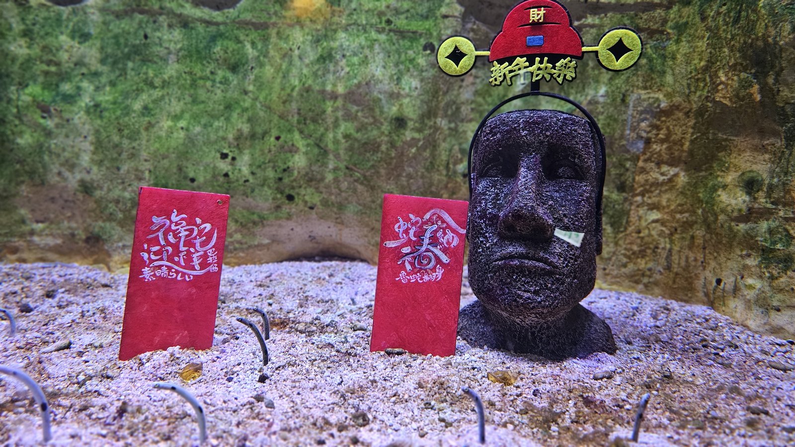 新北 野柳海洋世界：寓教於樂的海獅海豚show/ 望海亭活海