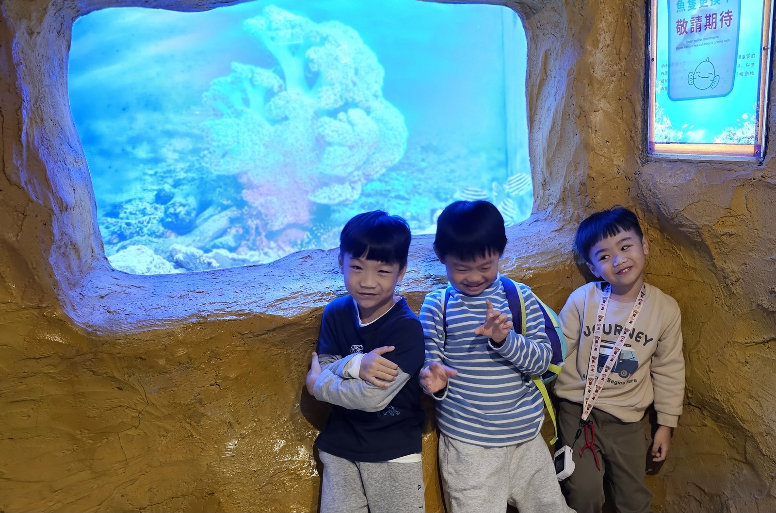 新北 野柳海洋世界：寓教於樂的海獅海豚show/ 望海亭活海