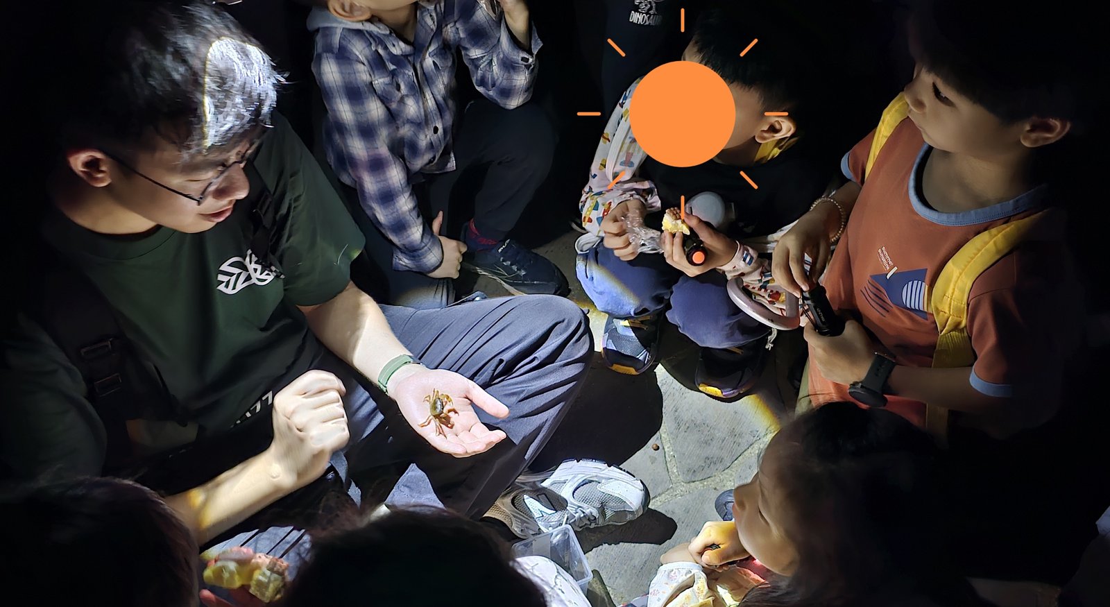 蟲蟲巴斯：陽明山夜間生態導覽/ 螢火蟲大冒險