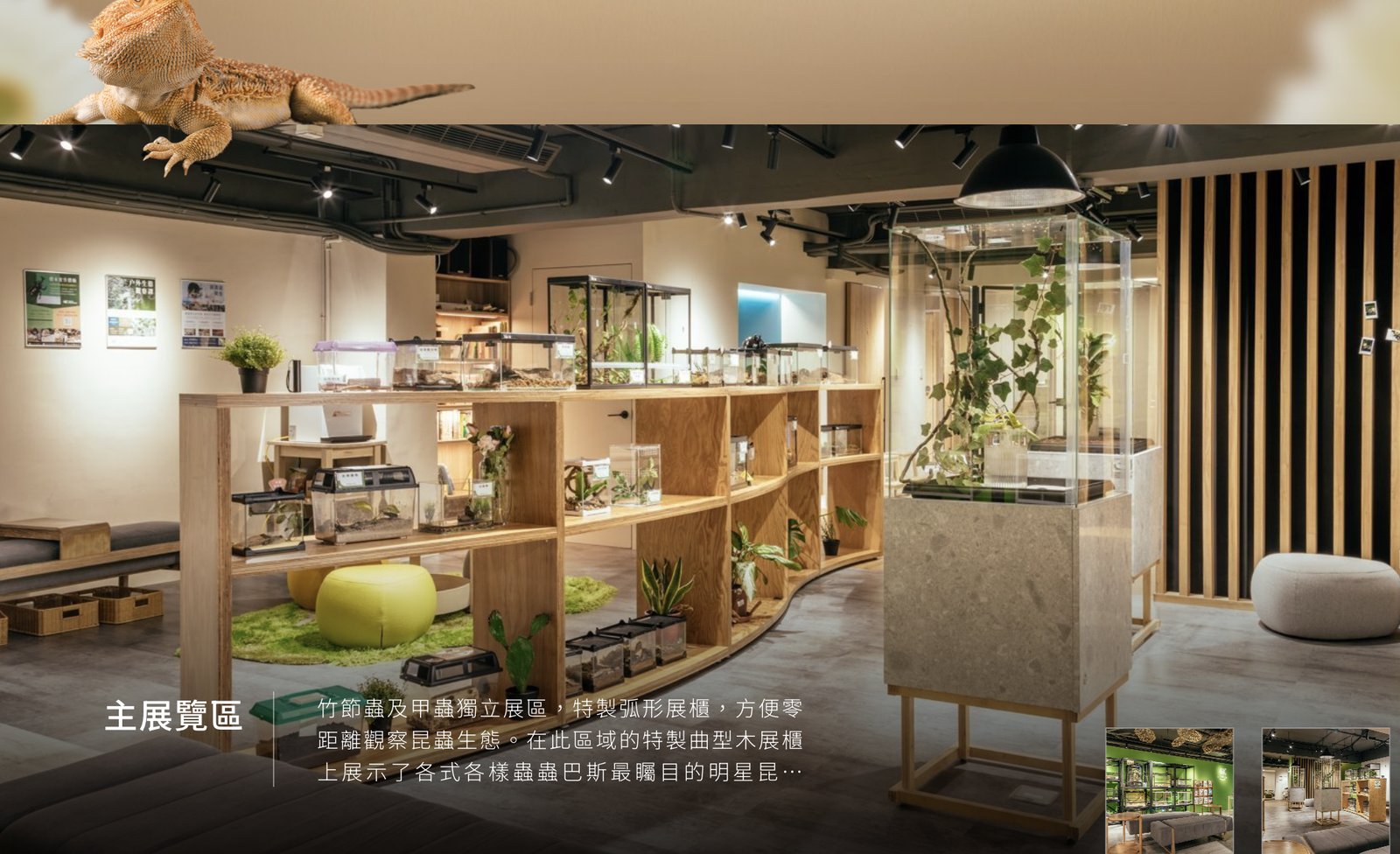 蟲蟲巴斯：陽明山夜間生態導覽/ 螢火蟲大冒險