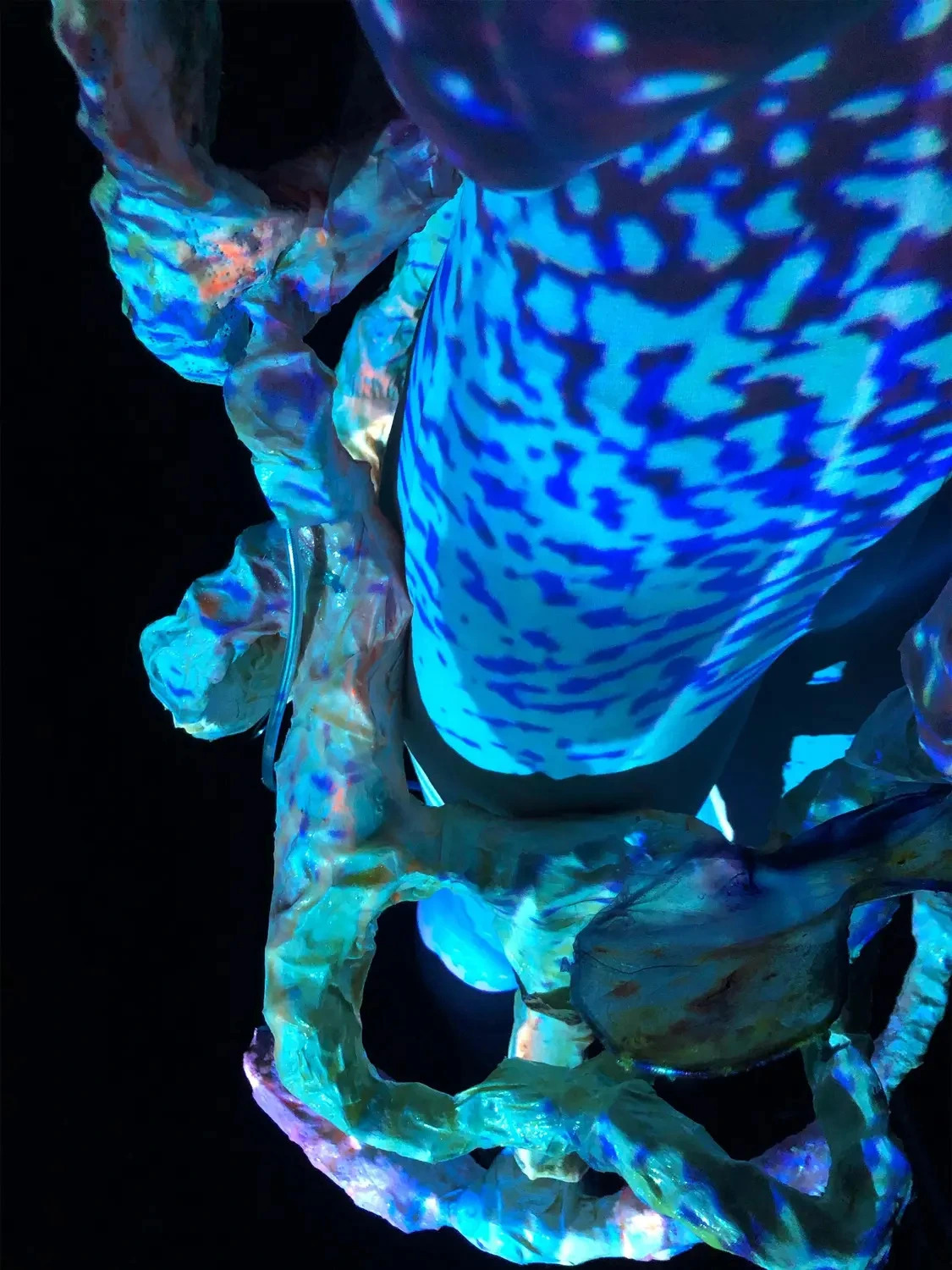 /archive/2021-2022/landing-on-body/Images/large/17.webp