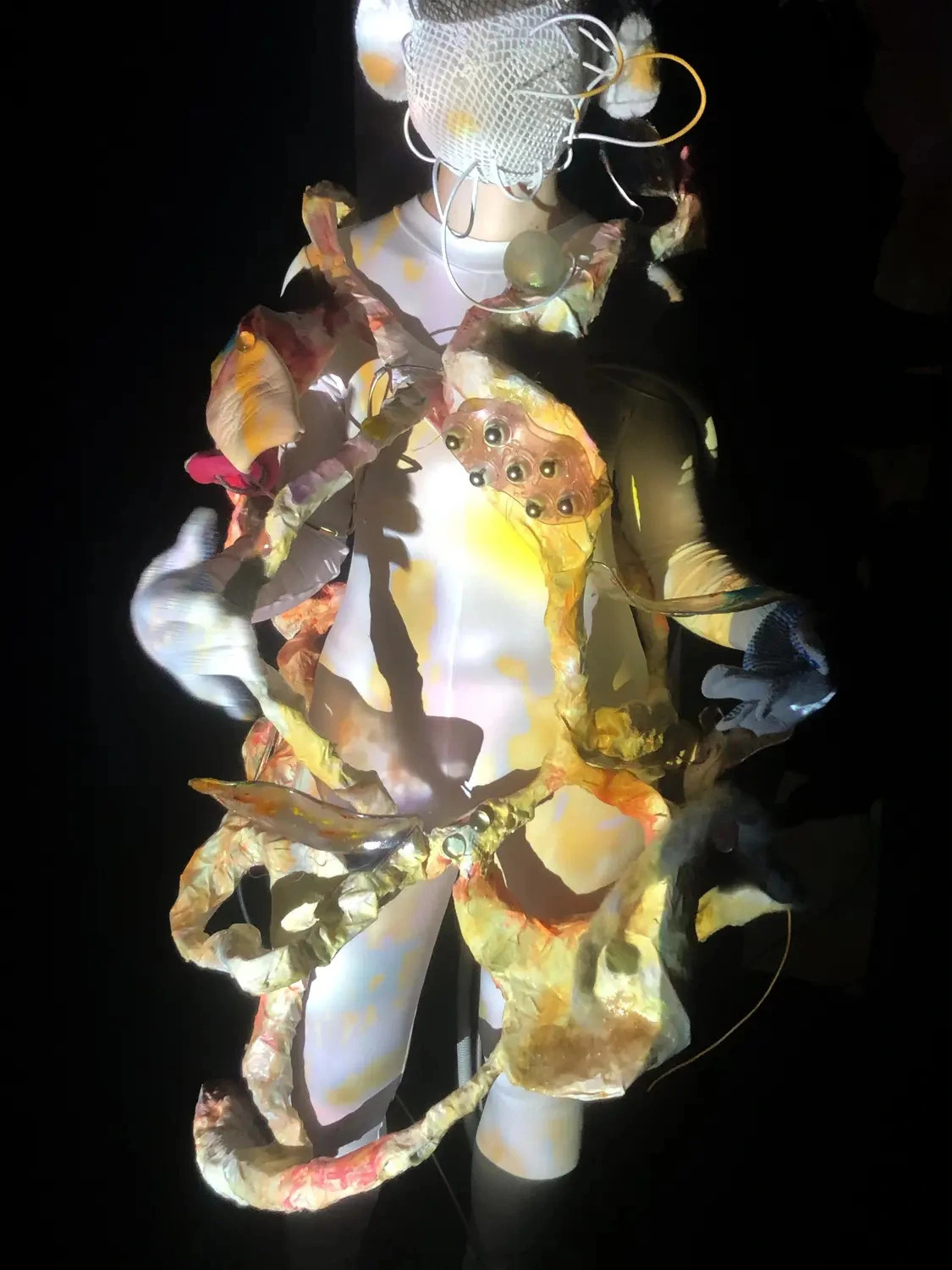 /archive/2021-2022/landing-on-body/Images/large/24.webp