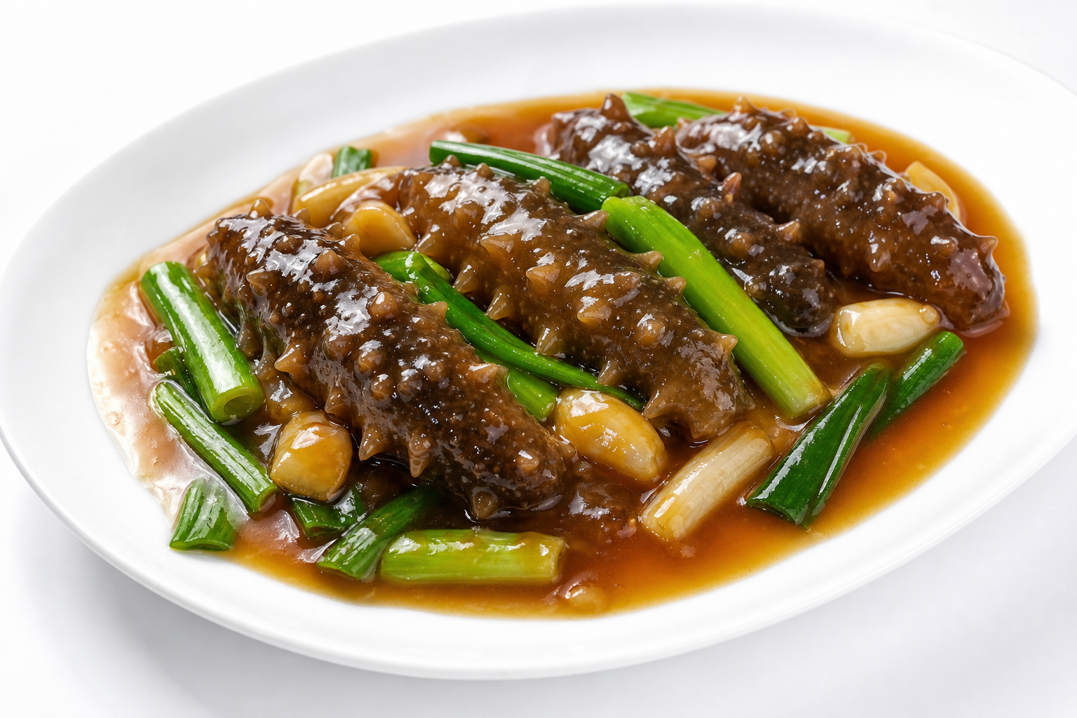 Braised Sea Cucumber with Scallions