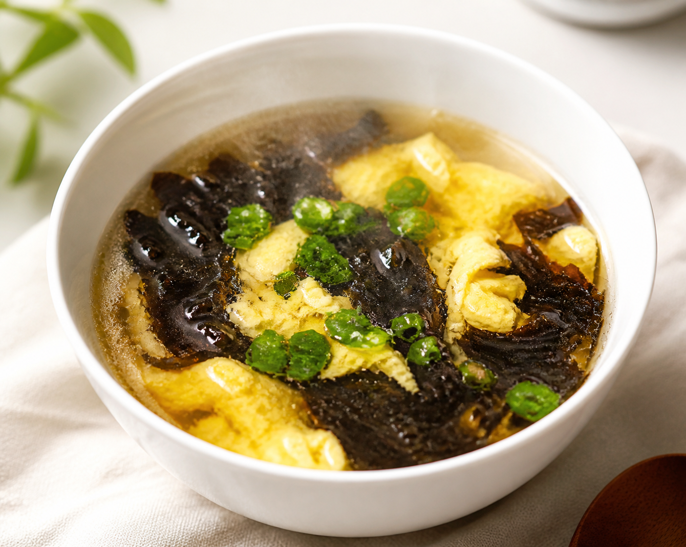 Nori and Egg Drop Soup